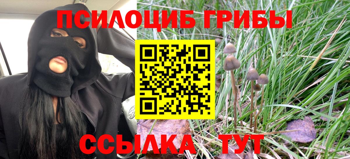 Галлюциногенные грибы Magic Shrooms  Вход с VPN  Артёмовский  Галлюциногенные грибы Cubensis 