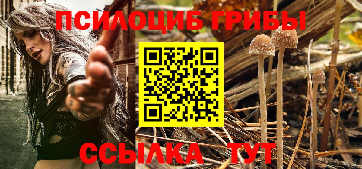 Галлюциногенные грибы Magic Shrooms Артёмовский